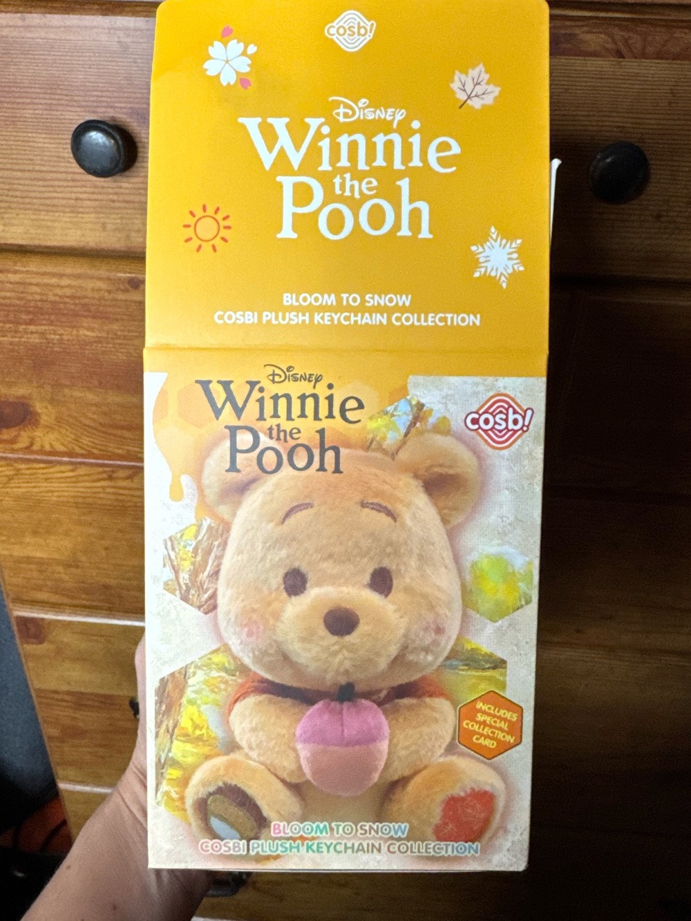 Winnie the Pooh Keychain